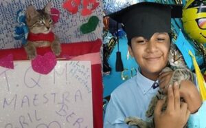 Il ragazzo include la sua gattina nelle sue foto dopo la licenza media: lei gli ha tenuto compagnia durante le lezioni