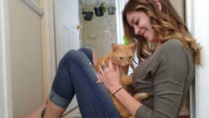 La storia virale di Cat: il gatto scomparso ritorna a casa dopo 536 giorni
