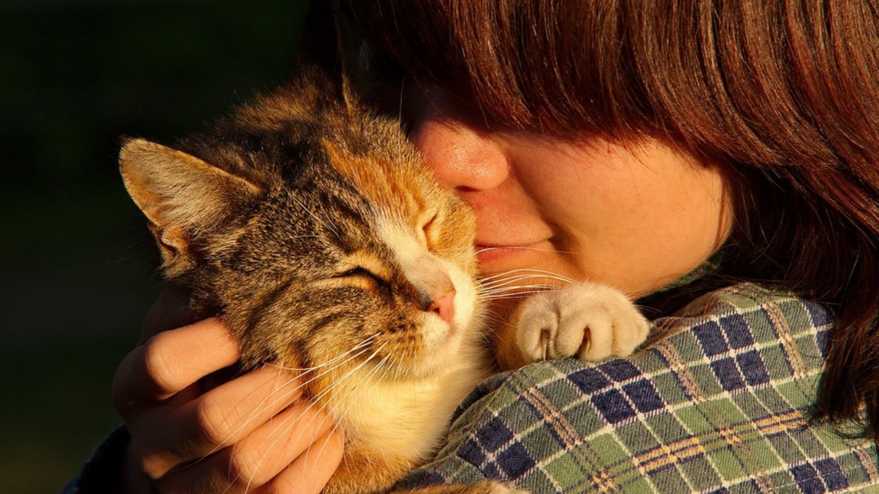 ragazza che bacia un gattino