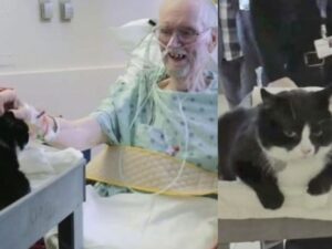 uomo sorridente che saluta un gatto