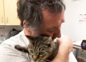 L’uomo piange per l’emozione quando finalmente trova il suo gatto di 19 anni dopo 7 anni di distacco