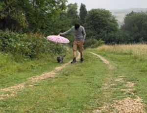 Questo gatto insiste per avere il suo “maggiordomo” personale mentre fa la passeggiata