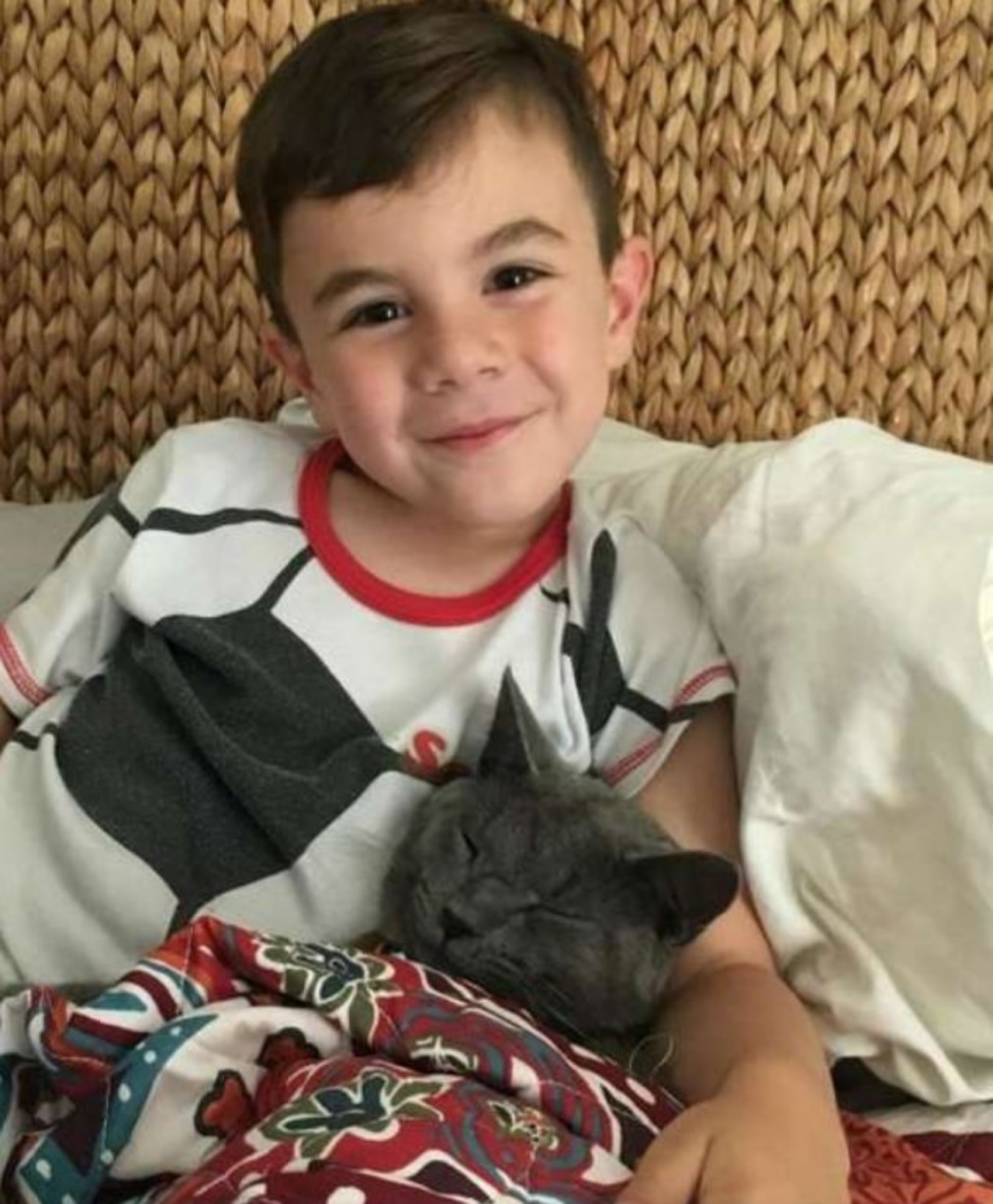 un bambino con un gatto grigio