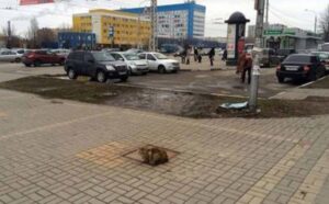 Un gatto abbandonato ha aspettato nello stesso punto, ogni giorno, per un anno intero, che il suo padrone tornasse