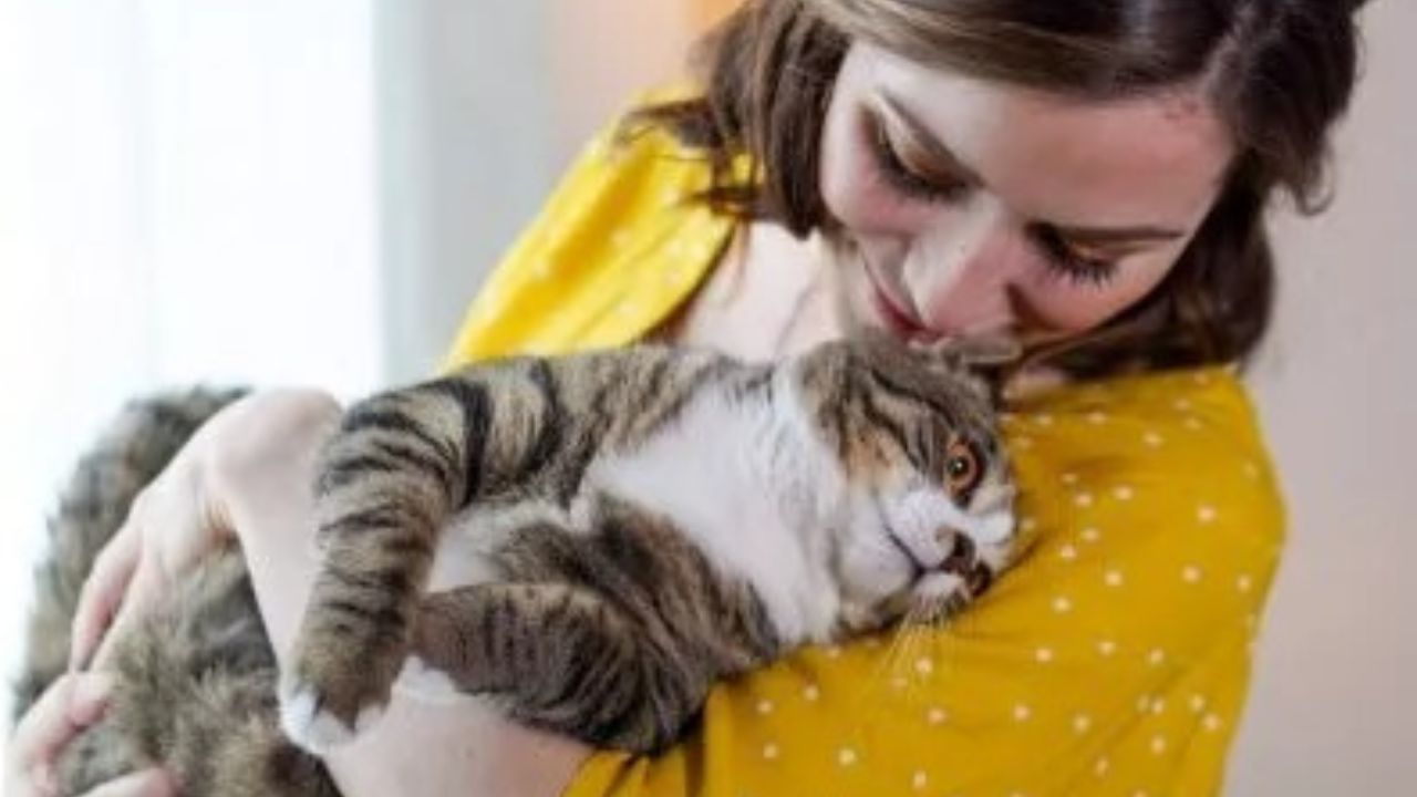 Padrona tiene gatto in braccio