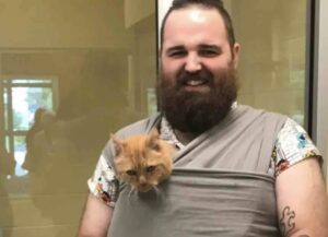 gatto nella maglia
