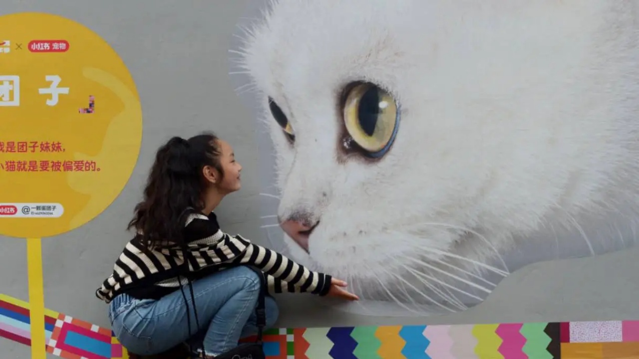 murales gatti