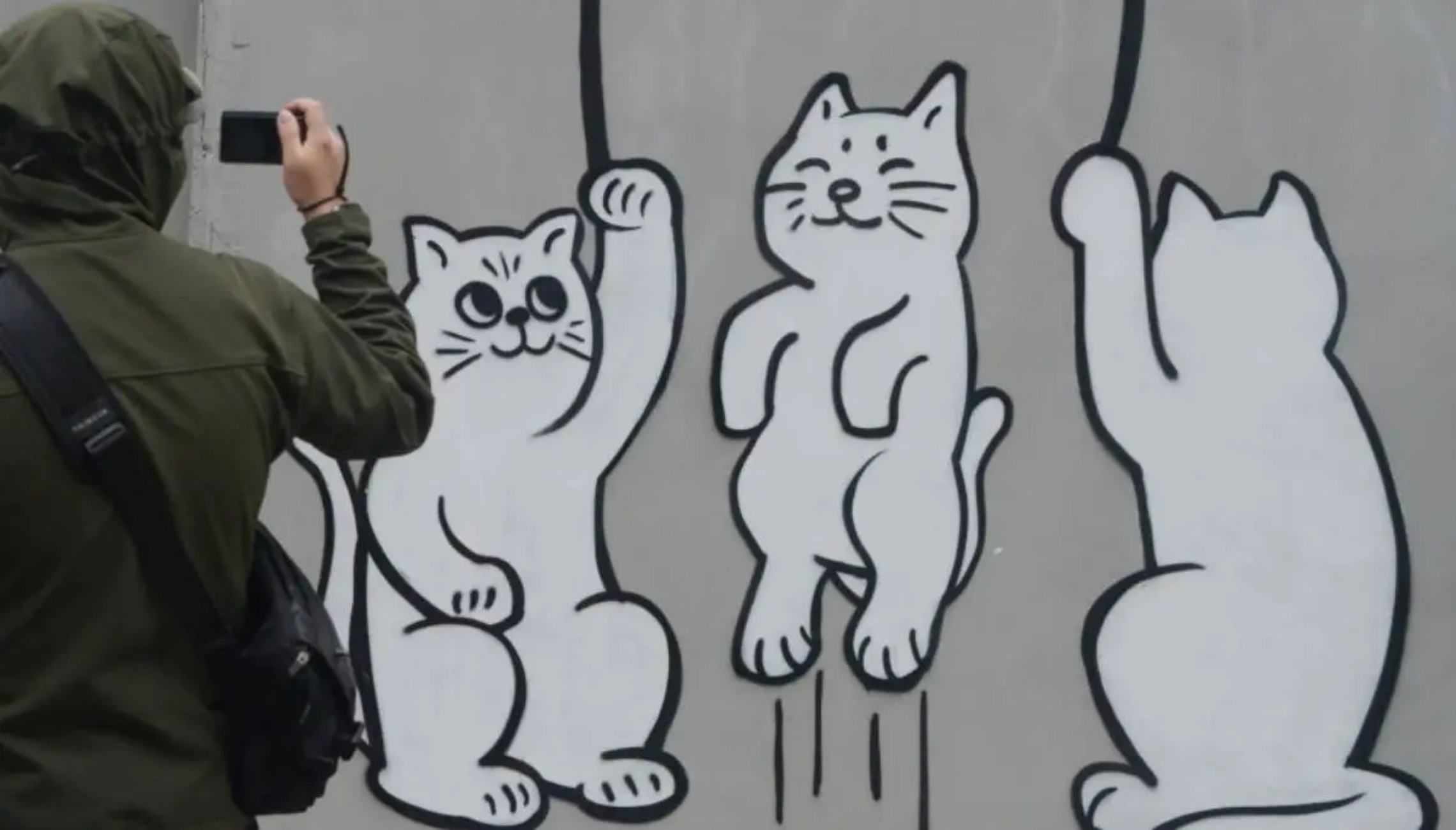 murales di gatti