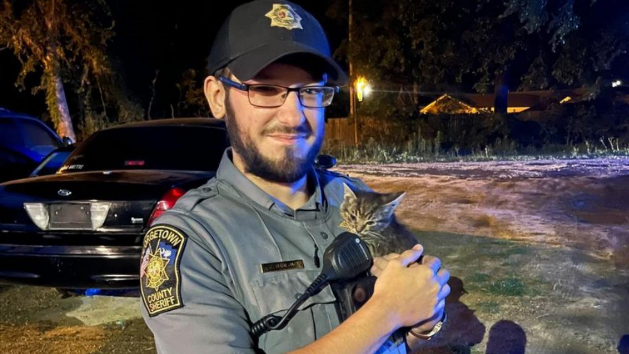gattino e poliziotto