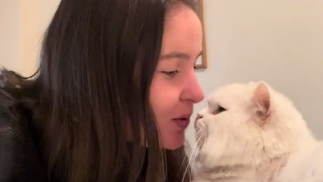 Donna bacia gatto