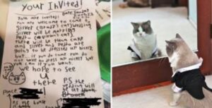 Un ragazzino invia degli adorabili inviti scritti a mano per annunciare le nozze dei suoi gatti