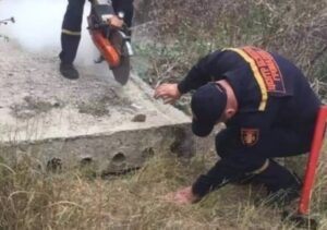 Gattino incastrato in un blocco di cemento, lo hanno salvato appena in tempo