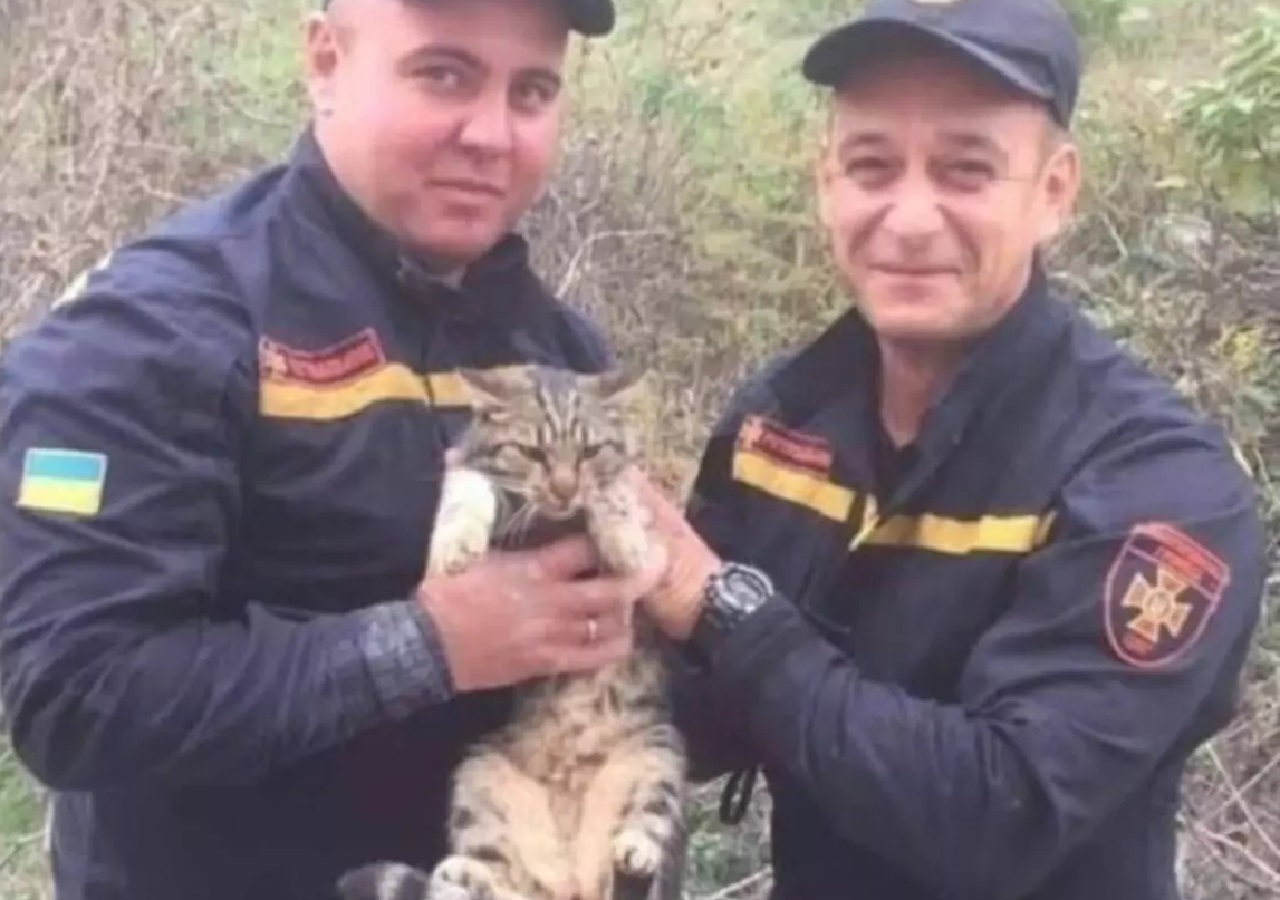 Agenti con il gatto salvato