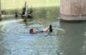 Gattino sotto il ponte rischia di annegare, agente si tuffa per salvarlo