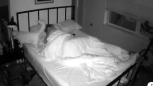 Il ragazzo curioso decide di installare una videocamera per capire cosa fa il suo gatto la notte