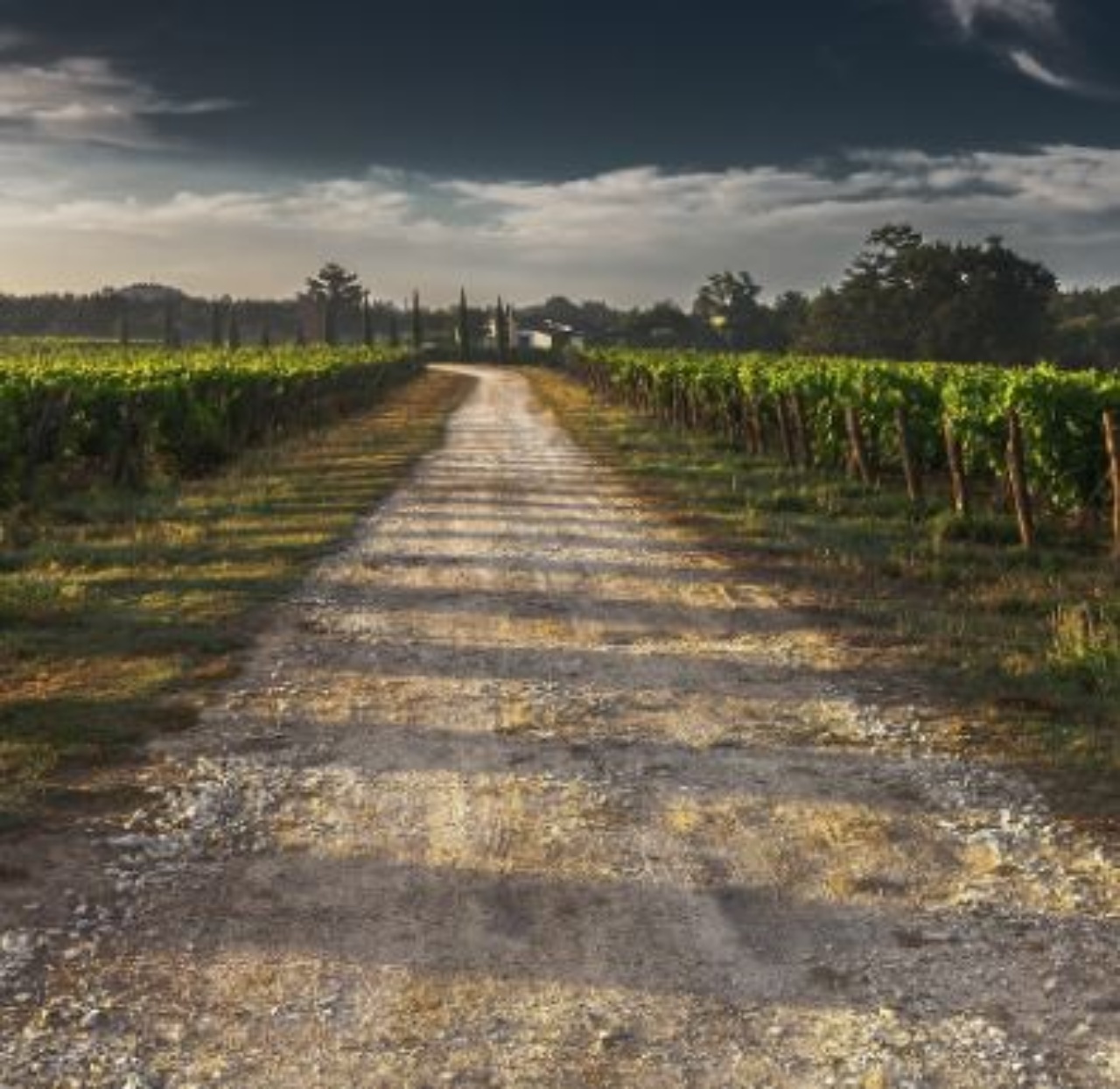 una strada di campagna