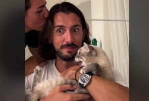 umani e gatto