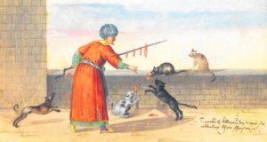 maometto e i gatti
