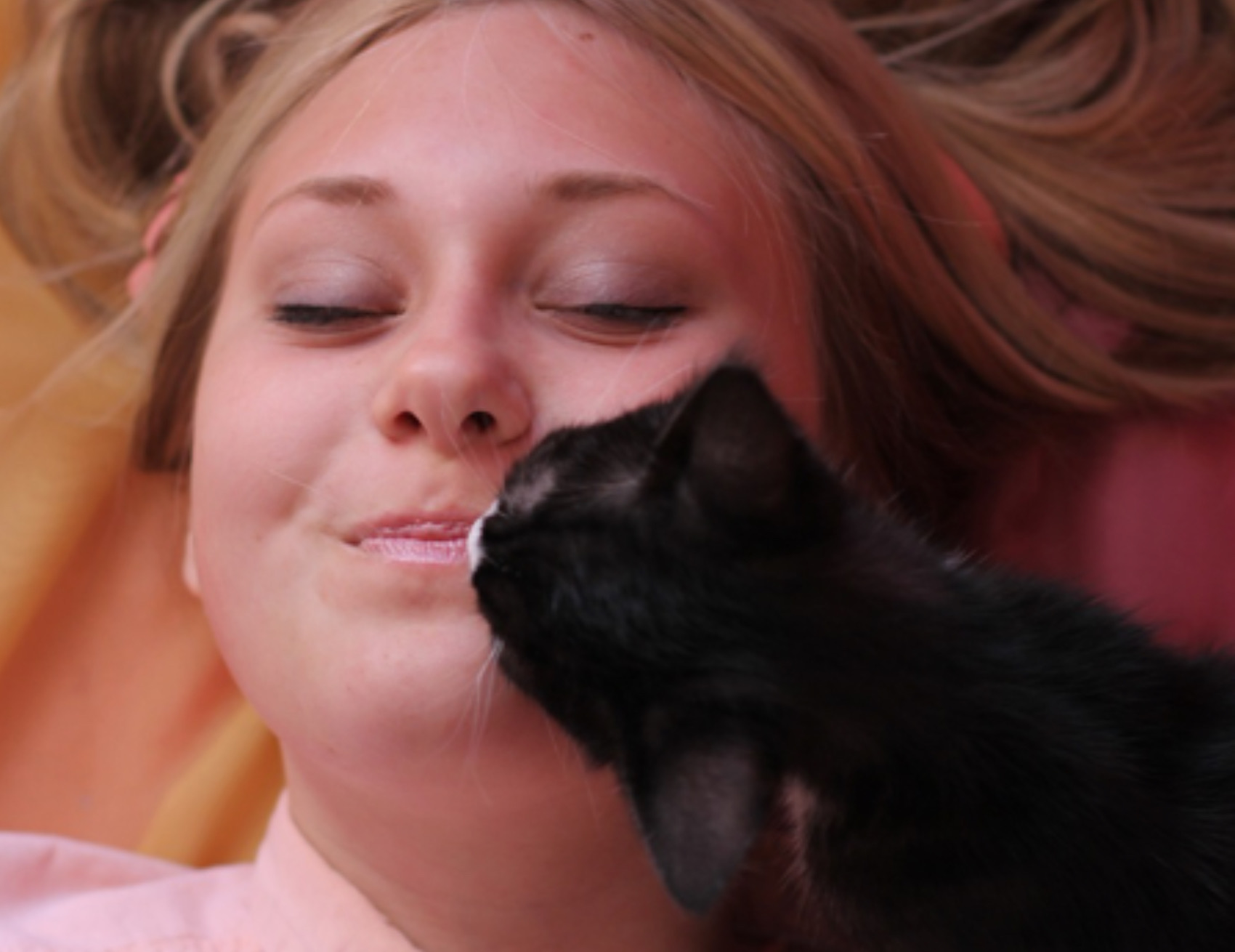 Gatto bacia la donna