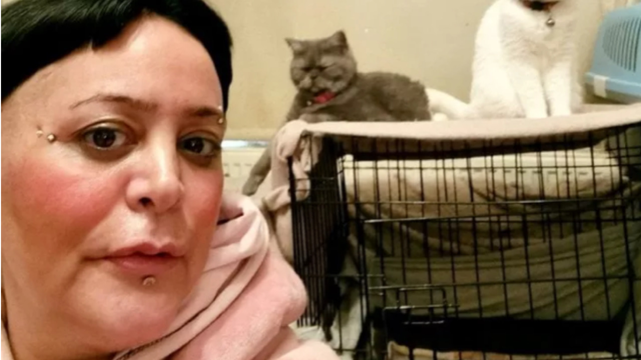 Gatto con la mamma