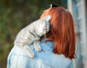 Ai gatti piacciono gli esseri umani? E come li scelgono?