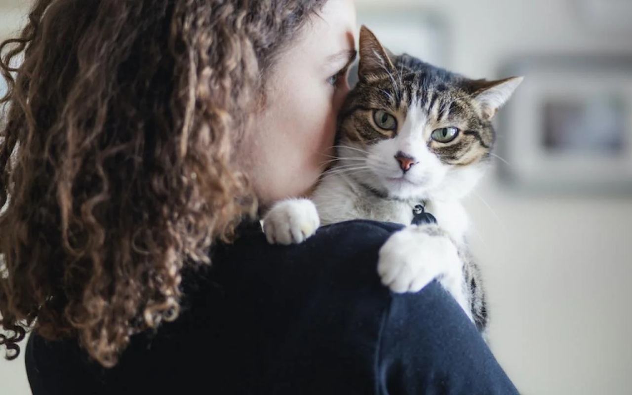 gatto in braccio a una ragazza