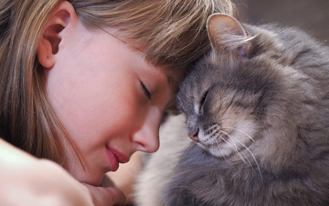 gatto che strofina la testa su una bambina