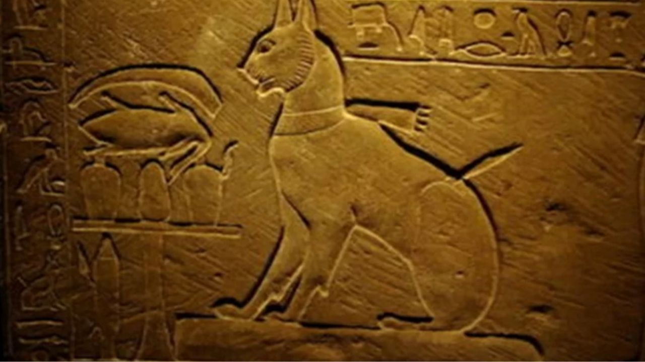 geroglifico egizio che raffigura un gatto