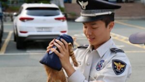 Mamma gatta trova rifugio in una stazione di polizia: ora lei e i gattini fanno parte della squadra