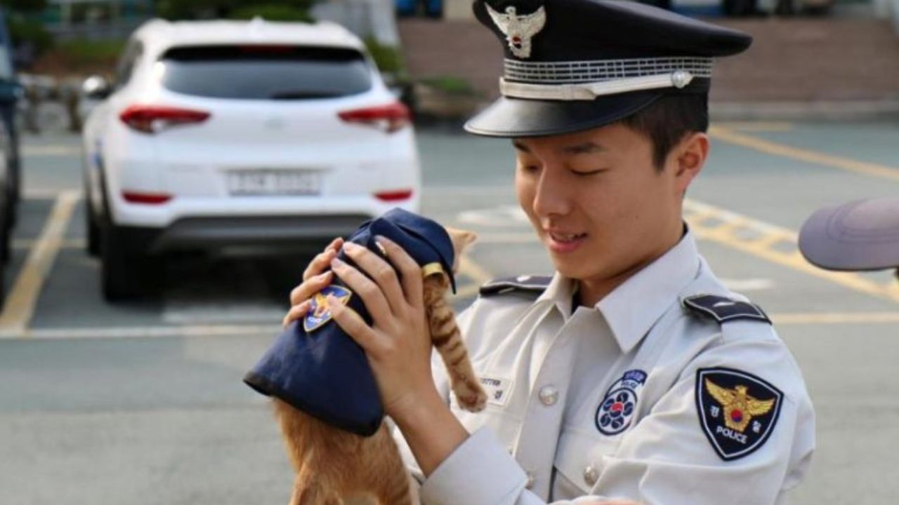 gatto in polizia