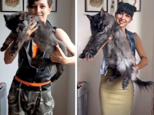 gatto che cresce