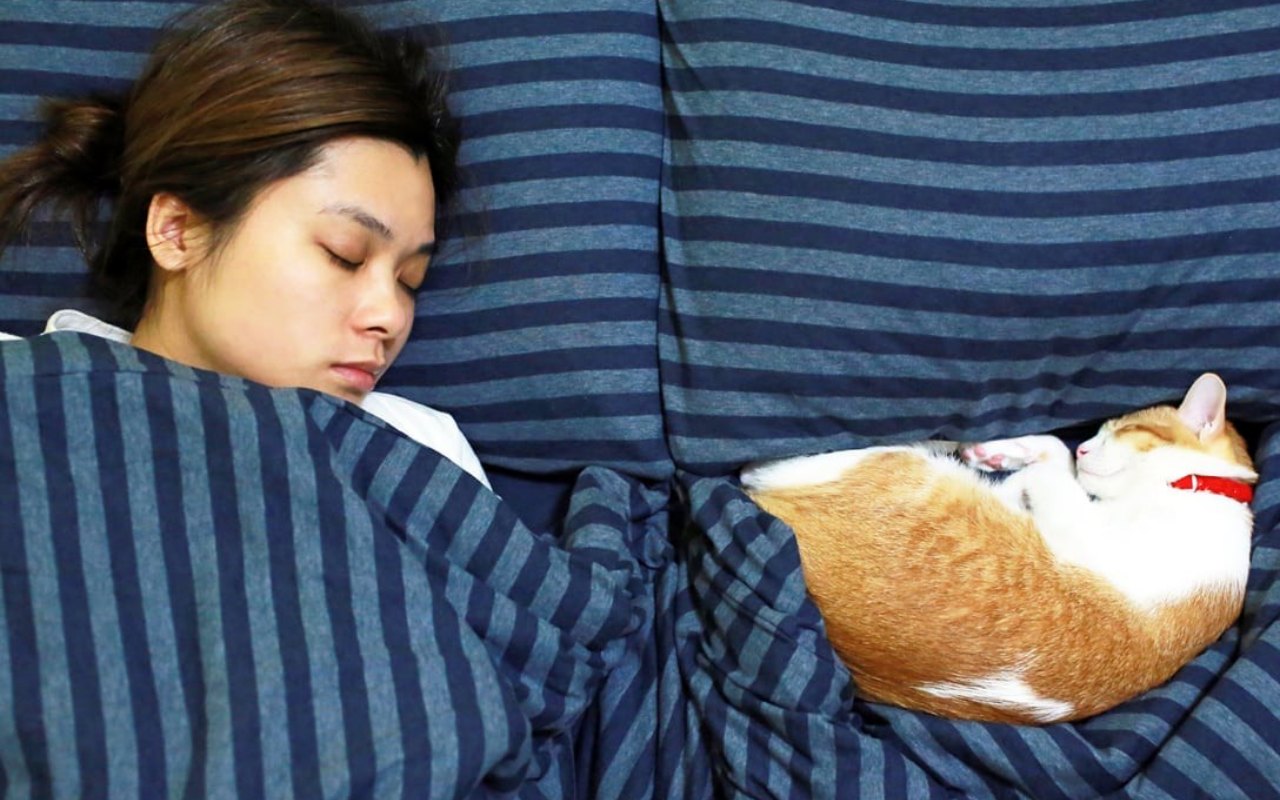 gatto che dorme con la sua padrona