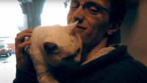 “Sceglimi”: il gatto del rifugio prova di tutto per essere adottato e trovare un amore per sempre