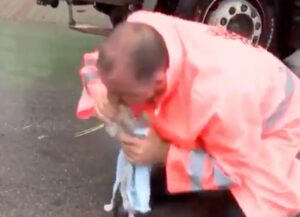 Era al lavoro sul manto stradale, poi si è accorto del gattino: l’addetto ai lavori l’ha salvato rianimandolo