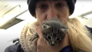 La donna ha salvato un gattino che stava per soccombere alla neve: adesso lui non la molla più