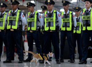 Nelle Filippine le forze dell’ordine adottano un gatto: si chiama Conan, come il guerriero