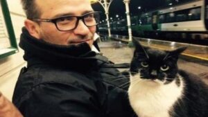 Ebbene sì, questo gatto si reca ogni giorno alla stazione per salutare calorosamente tutti i viaggiatori