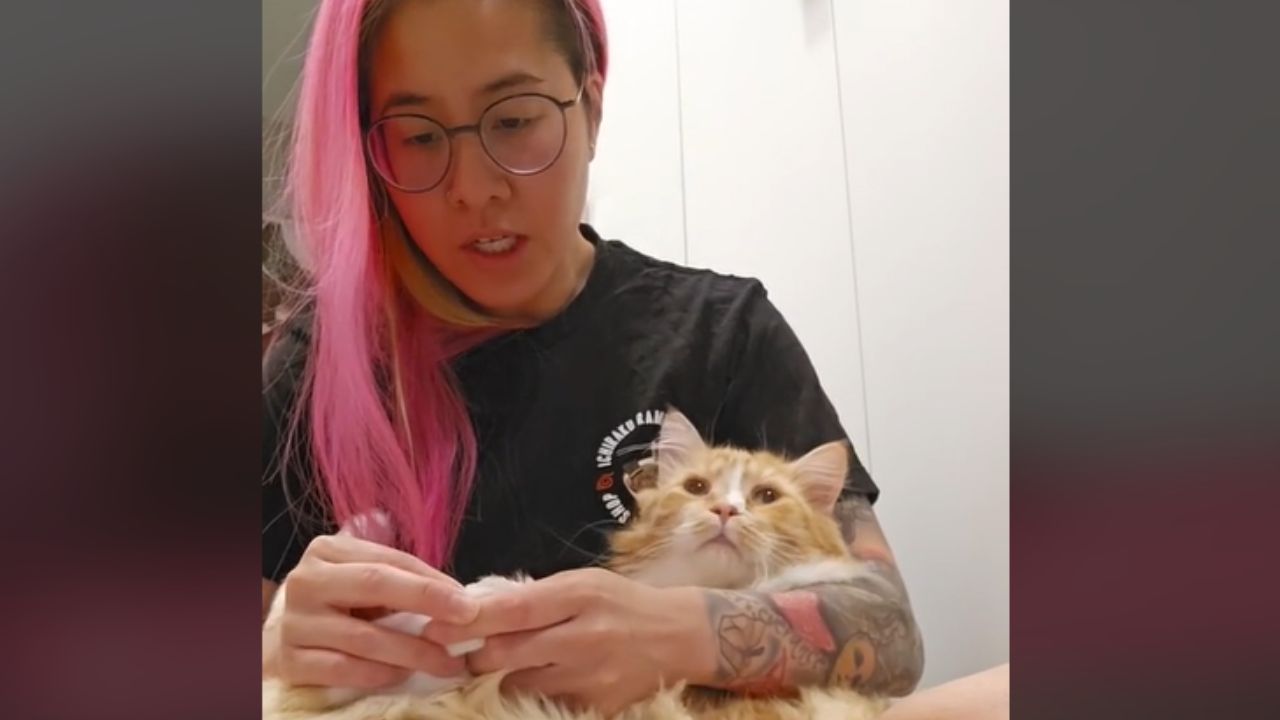 ragazza con capelli rosa