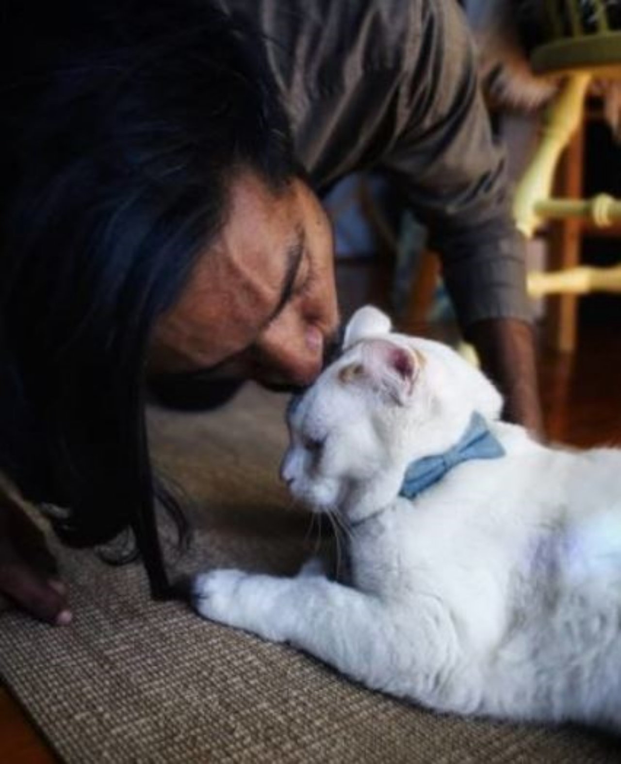 un ragazzo cn un gatto bianco