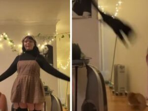 La reazioni dei gatti al piccolo “incidente” di danza della loro mamma? Sono leggermente esagerate