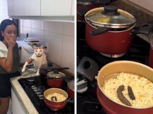 Quando tu cucini e tuo gatto condisce: il video virale