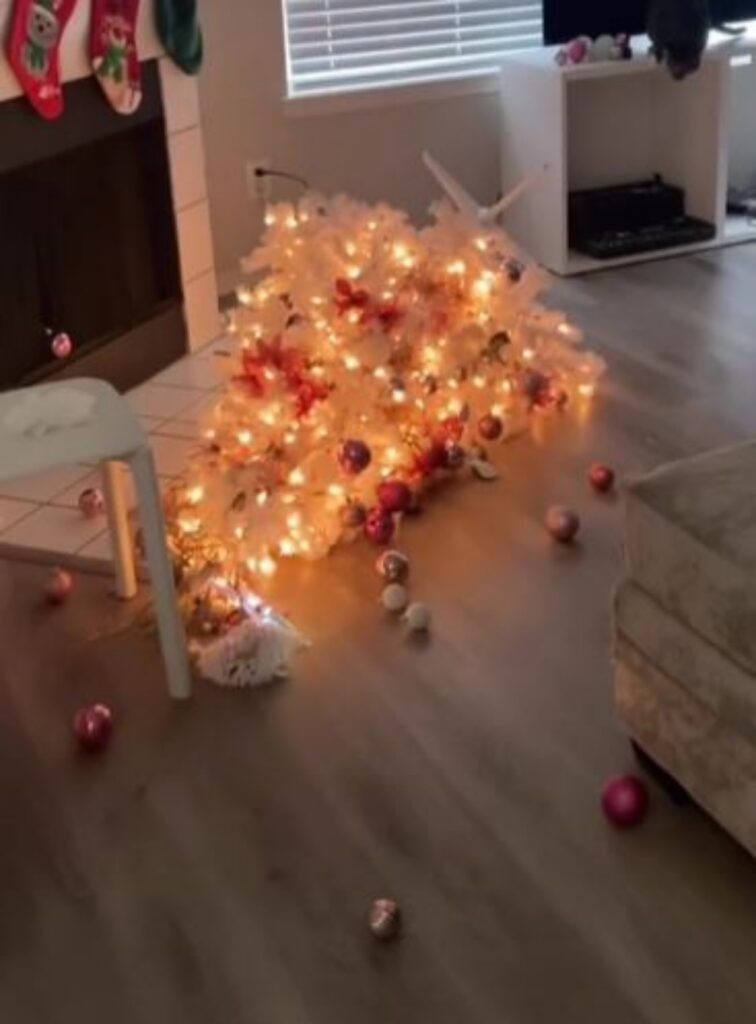 un albero di natale a terra