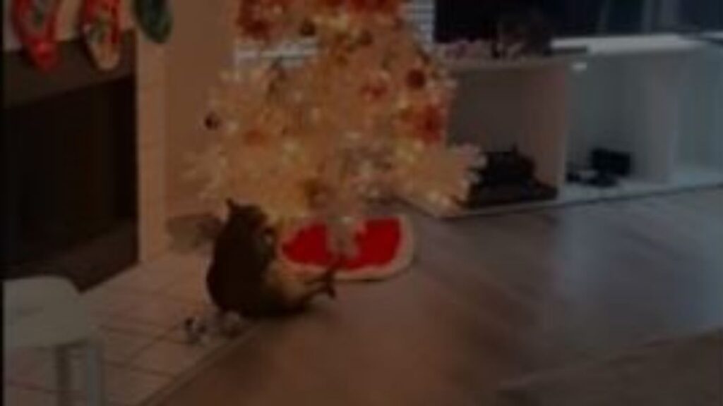 un gatto che gioca con un albero di natale