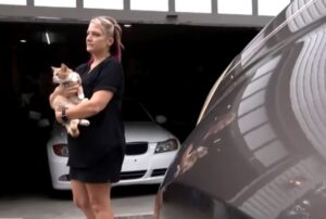 La donna si sveglia sentendo il gatto che miagola nella notte: non poteva immaginare che li stava salvando tutti