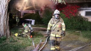Scomparsi i gatti eroi che hanno salvato il proprietario dall’incendio divampato in casa