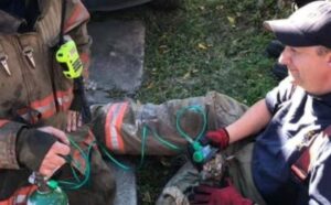 I pompieri hanno salvato in extremis la gattina in difficoltà, usando una speciale maschera per l’ossigeno