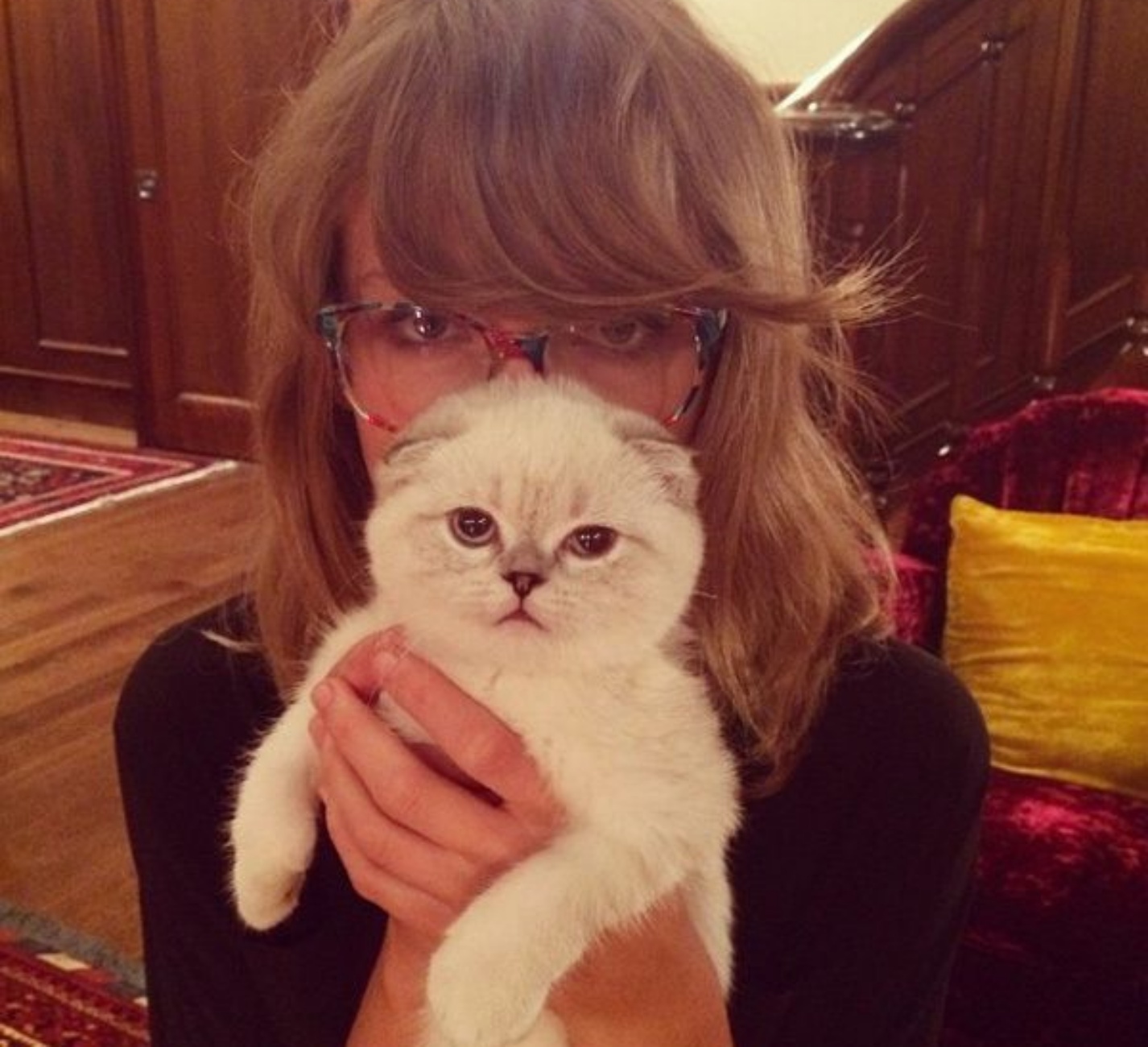 Taylor Swift e il suo gatto