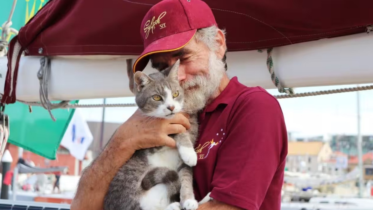 gatto e uomo regata