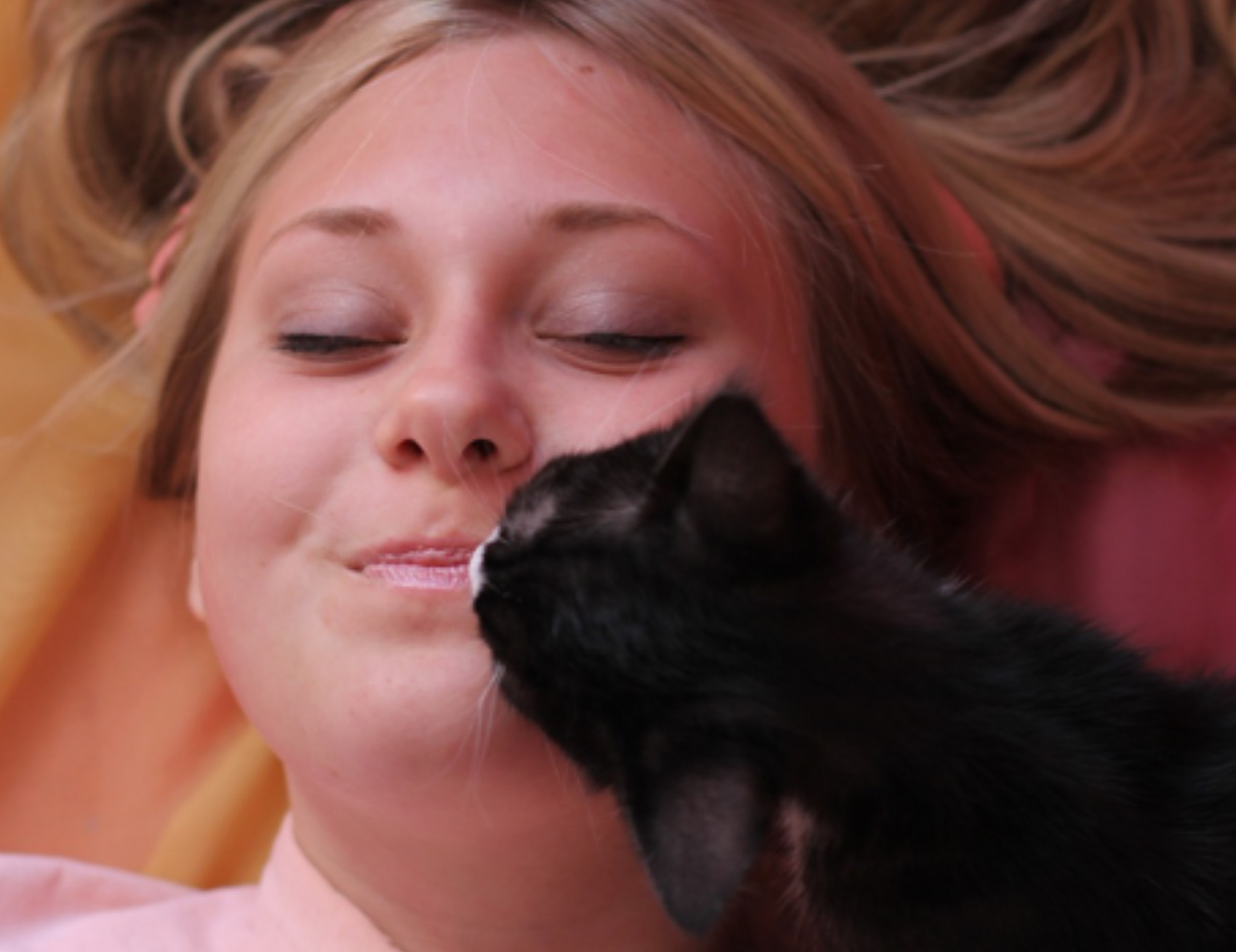 Gatto bacia donna