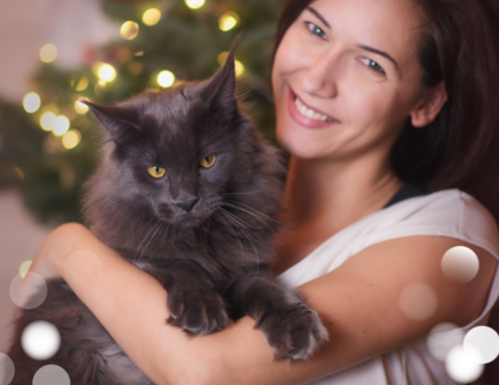 Gatto in braccio alla donna